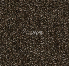 Грязезащитные покрытия Forbo Coral Classic 4744 Espresso фото 1 | FLOORDEALER